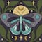 Mini Spring Moth Canvas Painting Kit by Craft Smart®